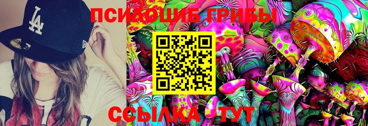 Галлюциногенные грибы Psilocybe Касимов